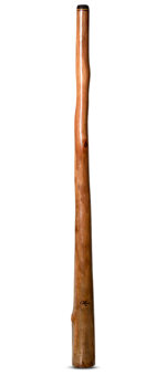 Tristan O'Meara Didgeridoo (TM278)